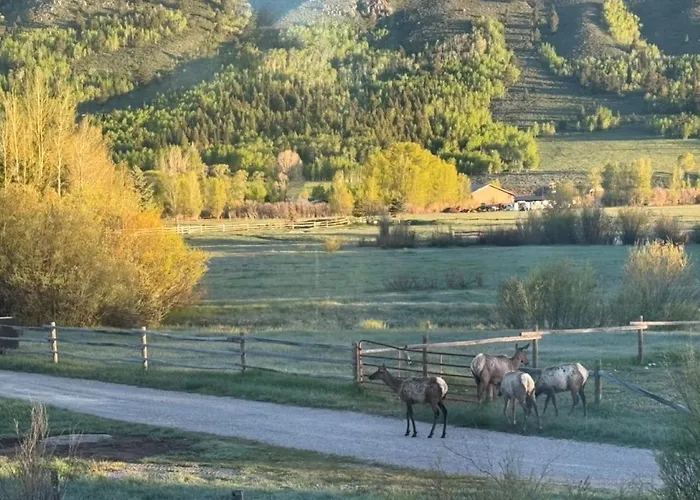 Secluded Mountain View Getaway - Near Jackson Hole - Bbq, Patio Wildlife! Chalet Wilson